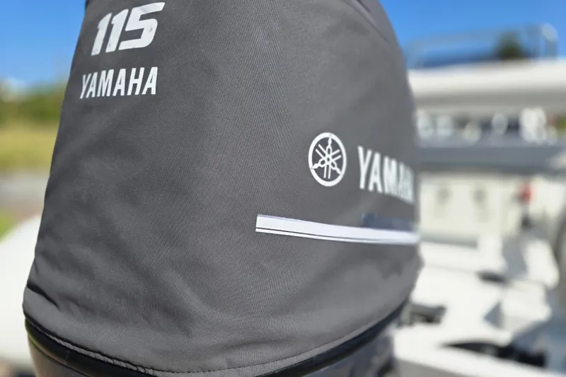 Slide: The Image of Close-up of a 2011 Novurania DL 550 boat windshield with reflections of palm trees. - 10