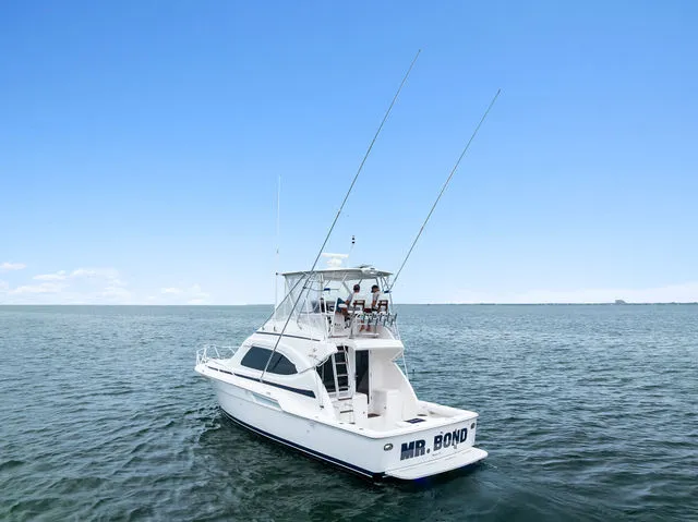 Slide: The Image of Bertram 39 Convertible 2006 - 59