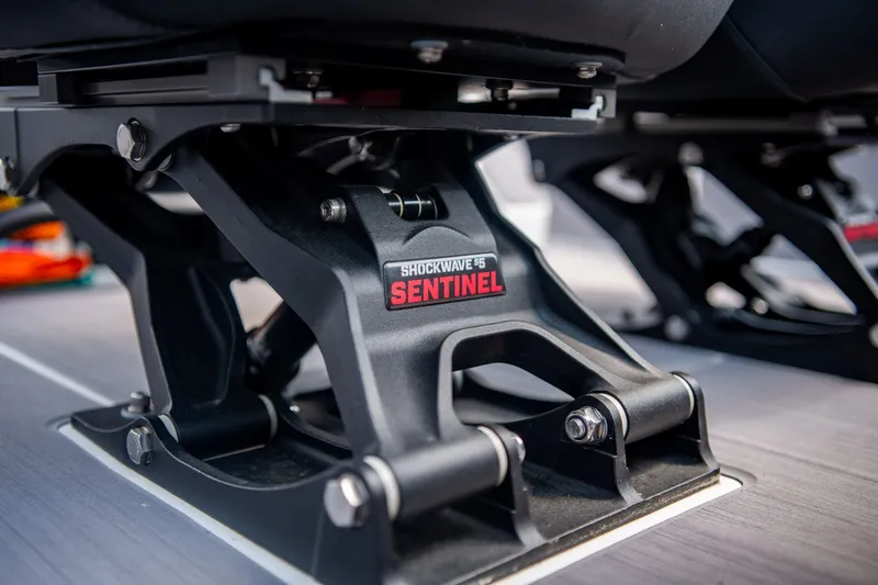 Slide: The Image of Schiada 24 CC 2024 - 16