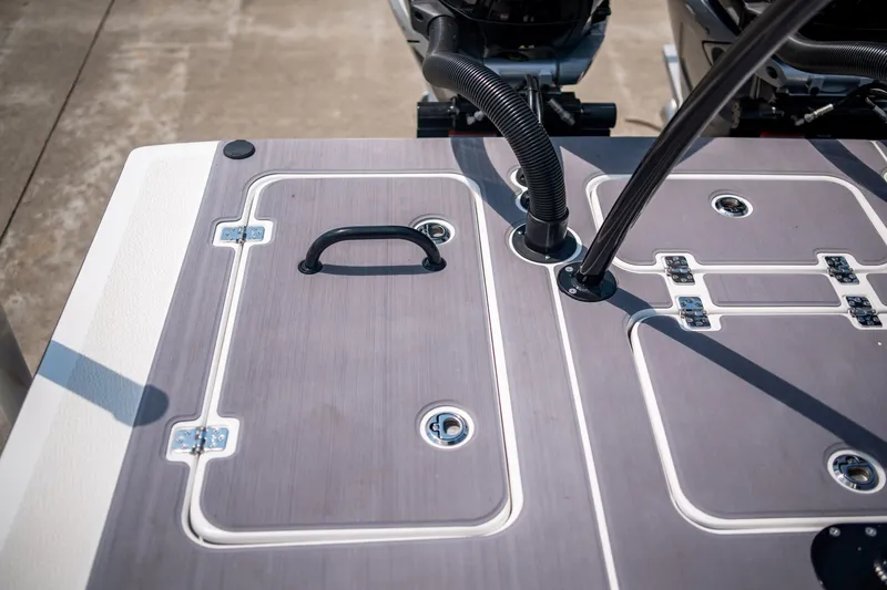 Slide: The Image of Schiada 24 CC 2024 - 18