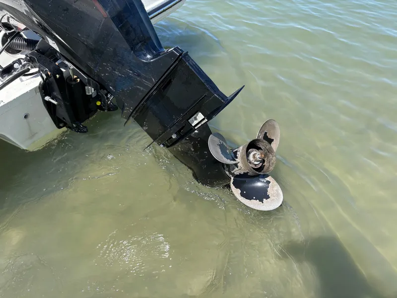 Slide: The Image of Sea Ray SPX 190 Outboard 2017 - 12