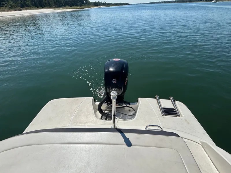 Slide: The Image of Sea Ray SPX 190 Outboard 2017 - 28