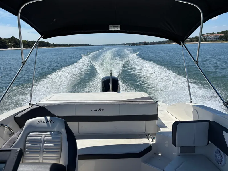 Slide: The Image of Sea Ray SPX 190 Outboard 2017 - 29