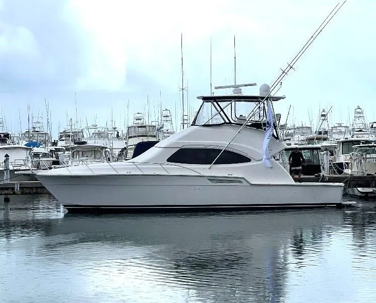 The Image of 2009 Bertram Convertible yacht docked in a marina, surrounded by other boats. - 0
