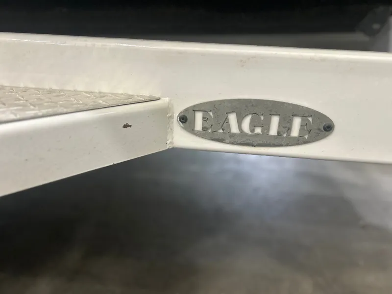 Slide: The Image of Regal LS6 2019 - 31