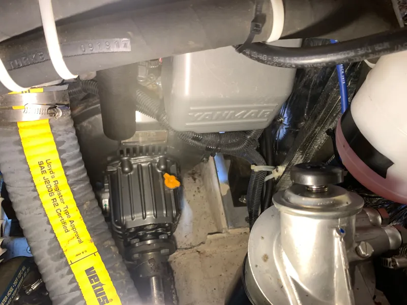 Slide: The Image of Catalina 385 2018 - 100