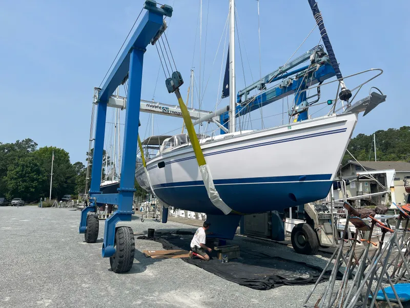 Slide: The Image of Catalina 385 2018 - 2