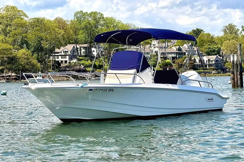 The Image of 2022 Boston Whaler 220 Dauntless boat on water with scenic background. - 0