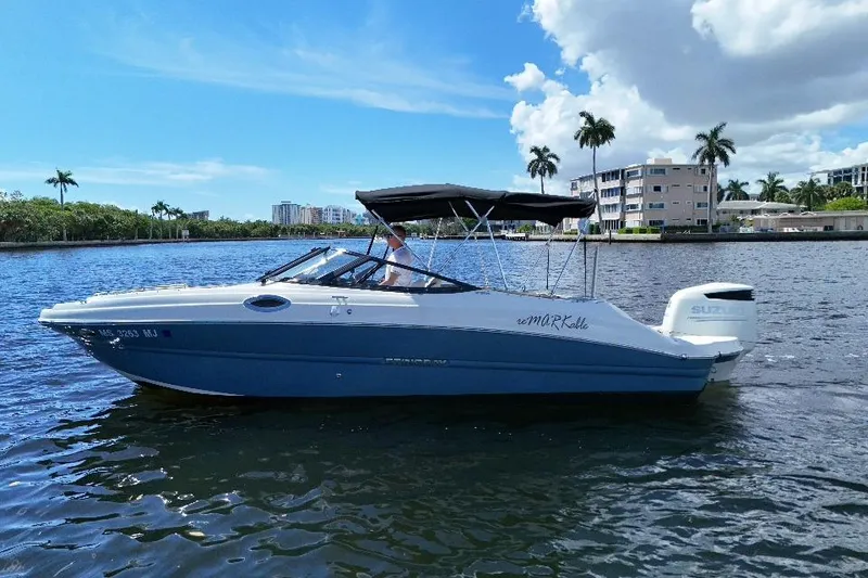 The Image of 2021 Stingray 231 DC boat cruising on a sunny day with palm trees in the background. - 1