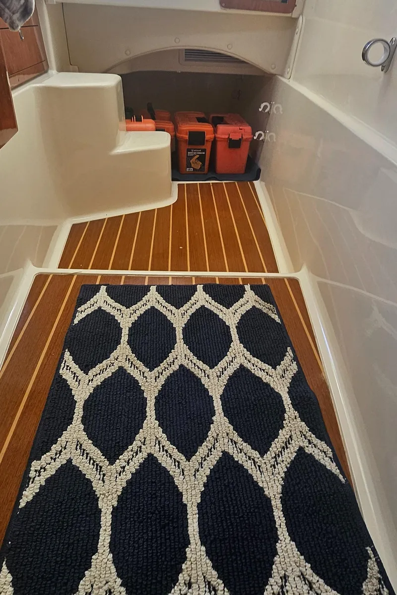 Slide: The Image of 2008 World Cat 320 EC interior with patterned rug and storage area. - 25