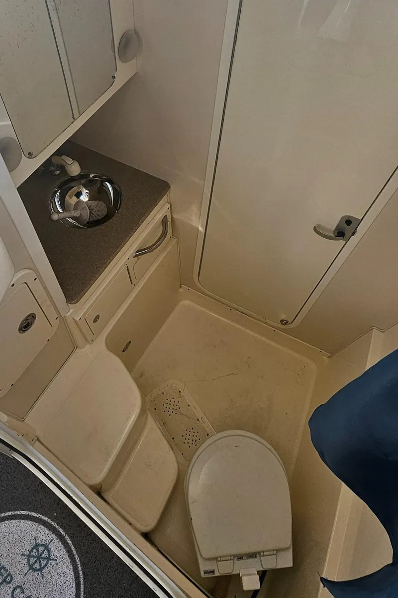 Slide: The Image of 2008 World Cat 320 EC boat bathroom with sink, toilet, and shower area. - 31