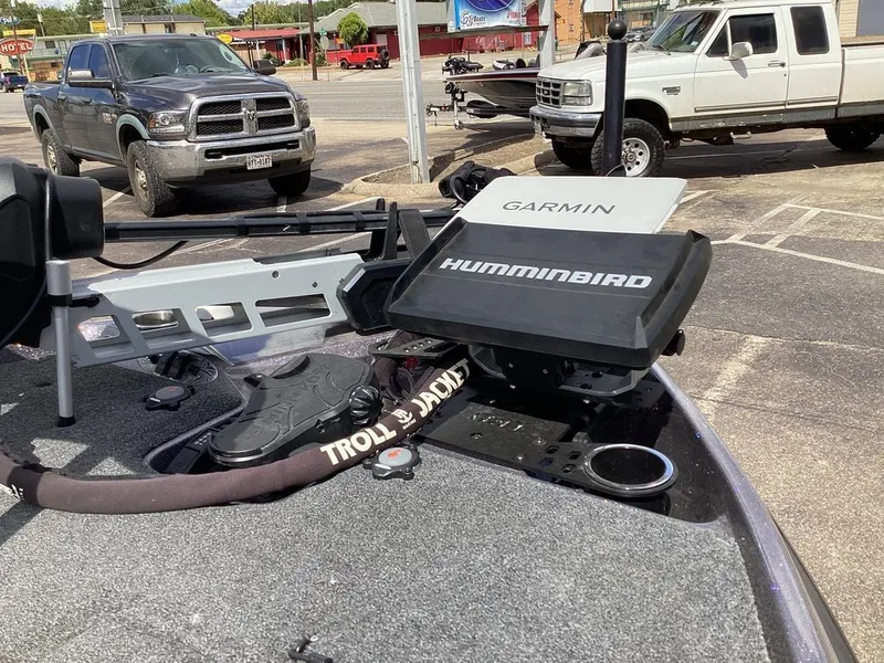 Slide: The Image of Bass Cat Caracal STS 2024 - 22