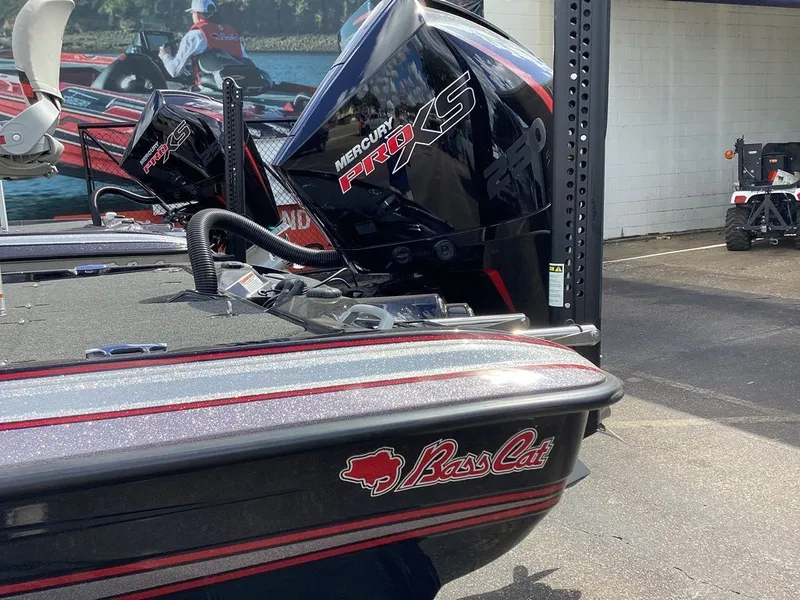 Slide: The Image of Bass Cat Caracal STS 2024 - 28