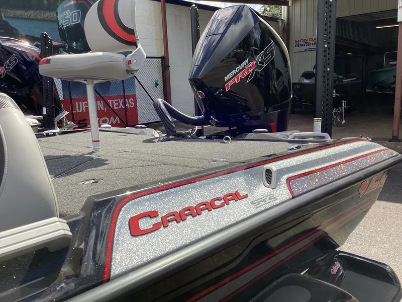 Slide: The Image of Bass Cat Caracal STS 2024 - 30