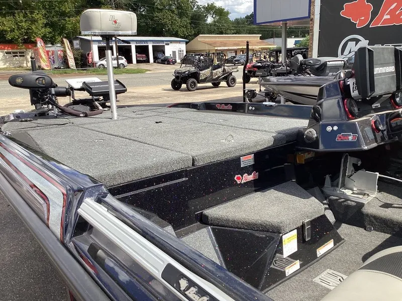 Slide: The Image of Bass Cat Caracal STS 2024 - 32