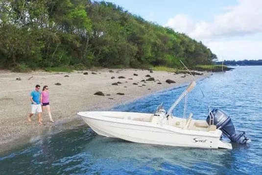 Slide: The Image of Manufacturer Provided Image: 2025 Scout 175 Sport Dorado boat near a scenic beach with two people walking. - 17