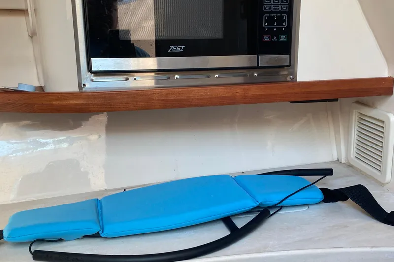 Slide: The Image of 2024 Grady-White Freedom 375 interior with microwave and blue cushion. - 13