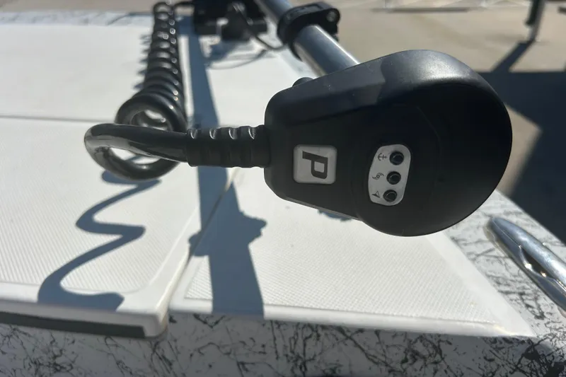 Slide: The Image of Close-up of a control panel on a 2020 Dargel Kat 250 HDX boat. - 29