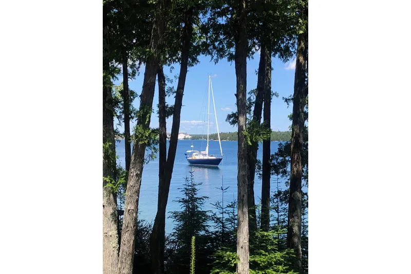Slide: The Image of Sailboat on serene lake, viewed through trees; Tartan 37', 1986 model. - 34
