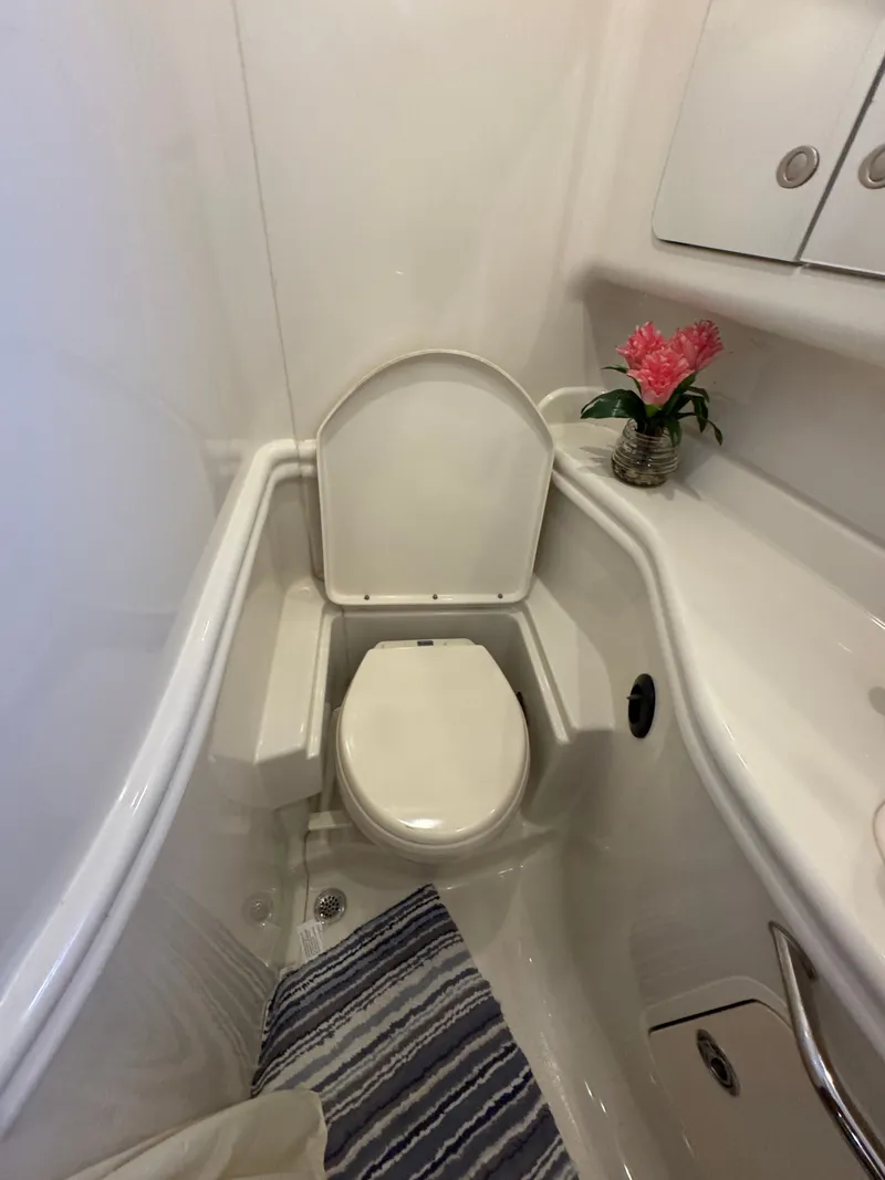 Slide: The Image of Compact bathroom in 2007 Sea Ray 340 Sundancer yacht with toilet and decorative plant. - 20