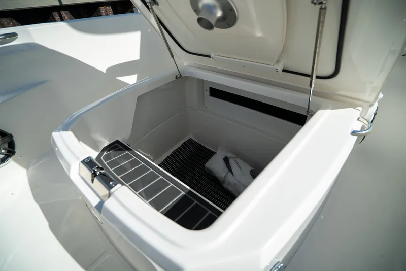 Slide: The Image of Boston Whaler 220 Dauntless 2026 - 15