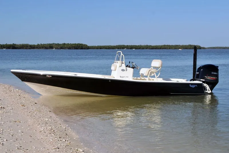 Slide: The Image of Manufacturer Provided Image: 2026 BlackJack 224 boat docked on a sandy shore, calm water, clear sky. - 6
