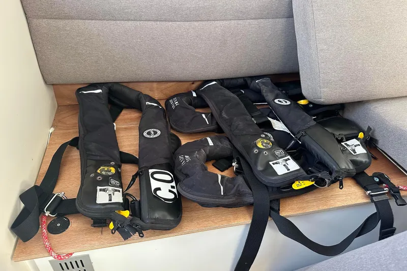 Slide: The Image of Four Mustang harnesses - 29