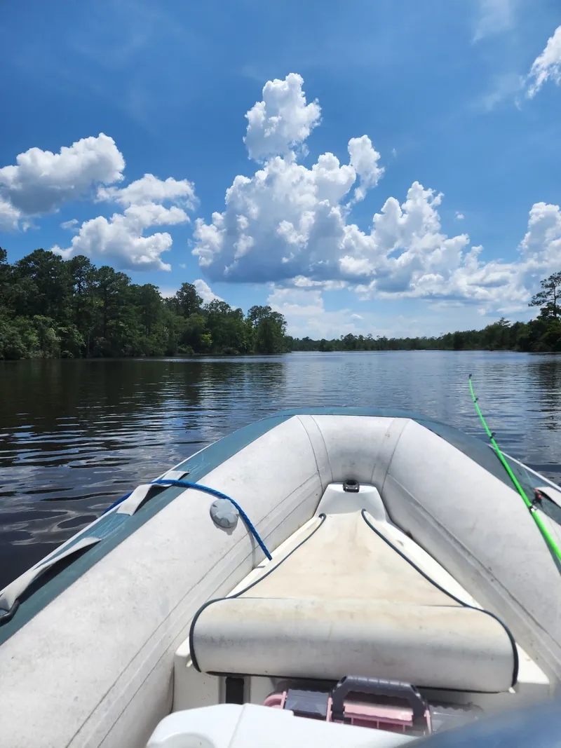 Slide: The Image of Novurania DL 360 2004 - 7