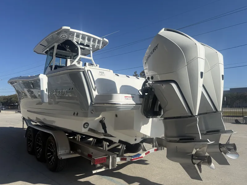 Slide: The Image of Blackfin 302 CC 2023 - 5