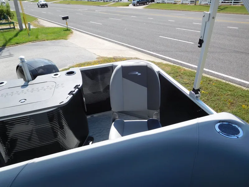 Slide: The Image of Bennington 22 SF 2025 - 15