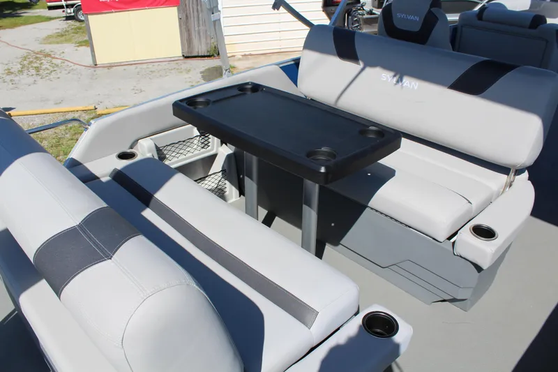 Slide: The Image of Sylvan L-3 DLZ - 2