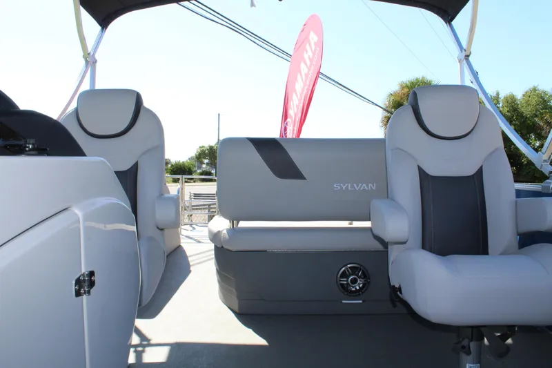 Slide: The Image of Sylvan L-3 DLZ - 4