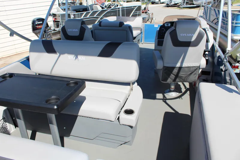 Slide: The Image of Sylvan L-3 DLZ - 6