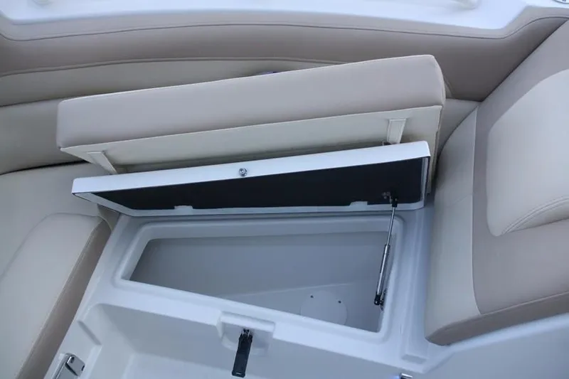 Slide: The Image of Sailfish 245 DC 2023 - 21