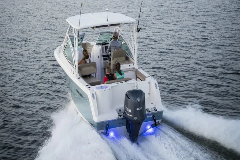 Slide: The Image of Sailfish 245 DC 2023 - 3