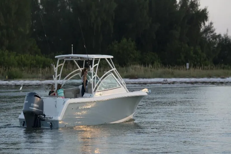 Slide: The Image of Sailfish 245 DC 2023 - 4