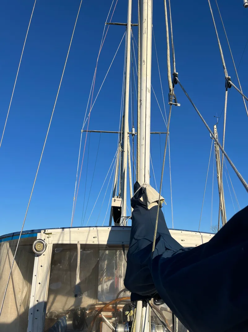 Slide: The Image of Irwin 54 1988 - 49