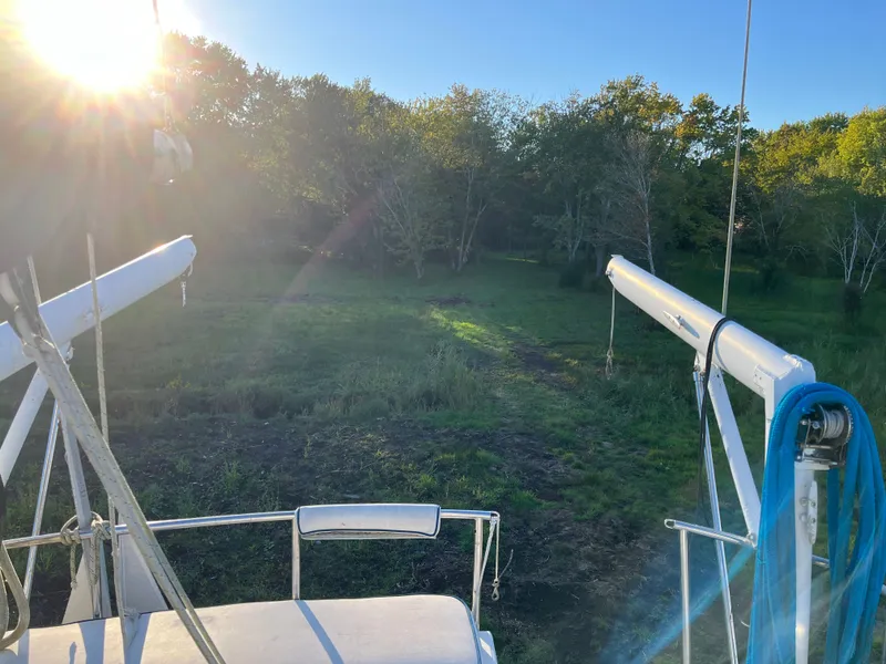 Slide: The Image of Irwin 54 1988 - 50