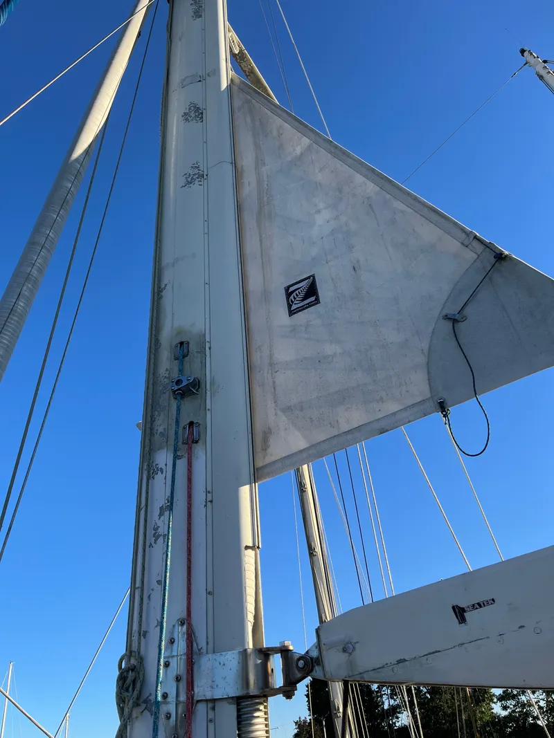 Slide: The Image of Irwin 54 1988 - 54