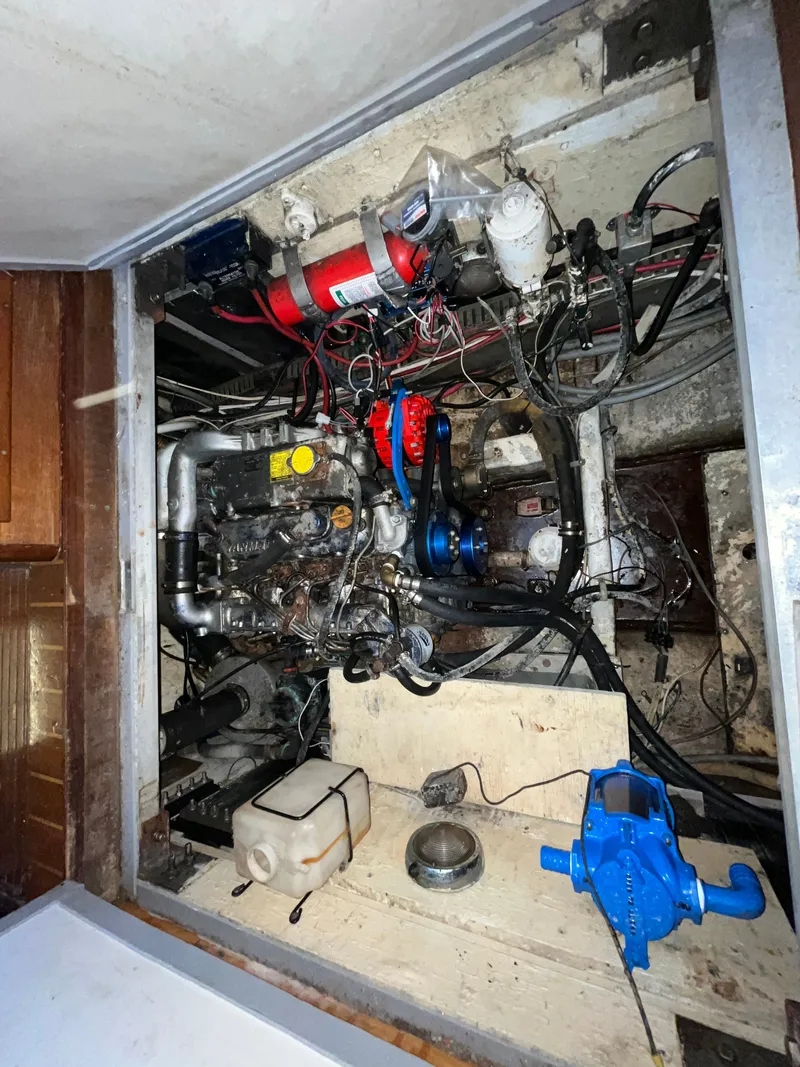 Slide: The Image of Irwin 54 1988 - 71