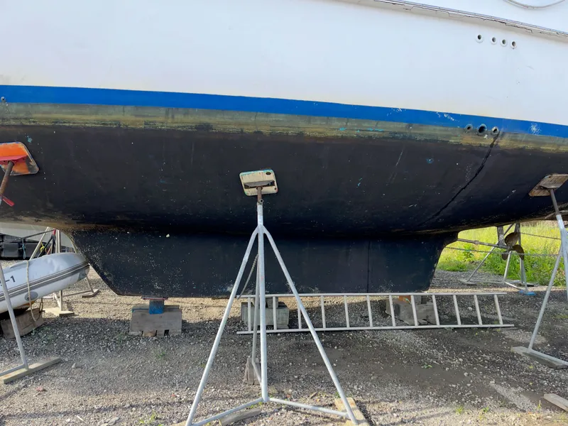 Slide: The Image of Irwin 54 1988 - 77