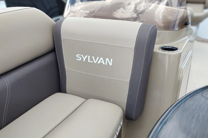 Slide: The Image of Sylvan Mirage 820 PARTY FISH - 10