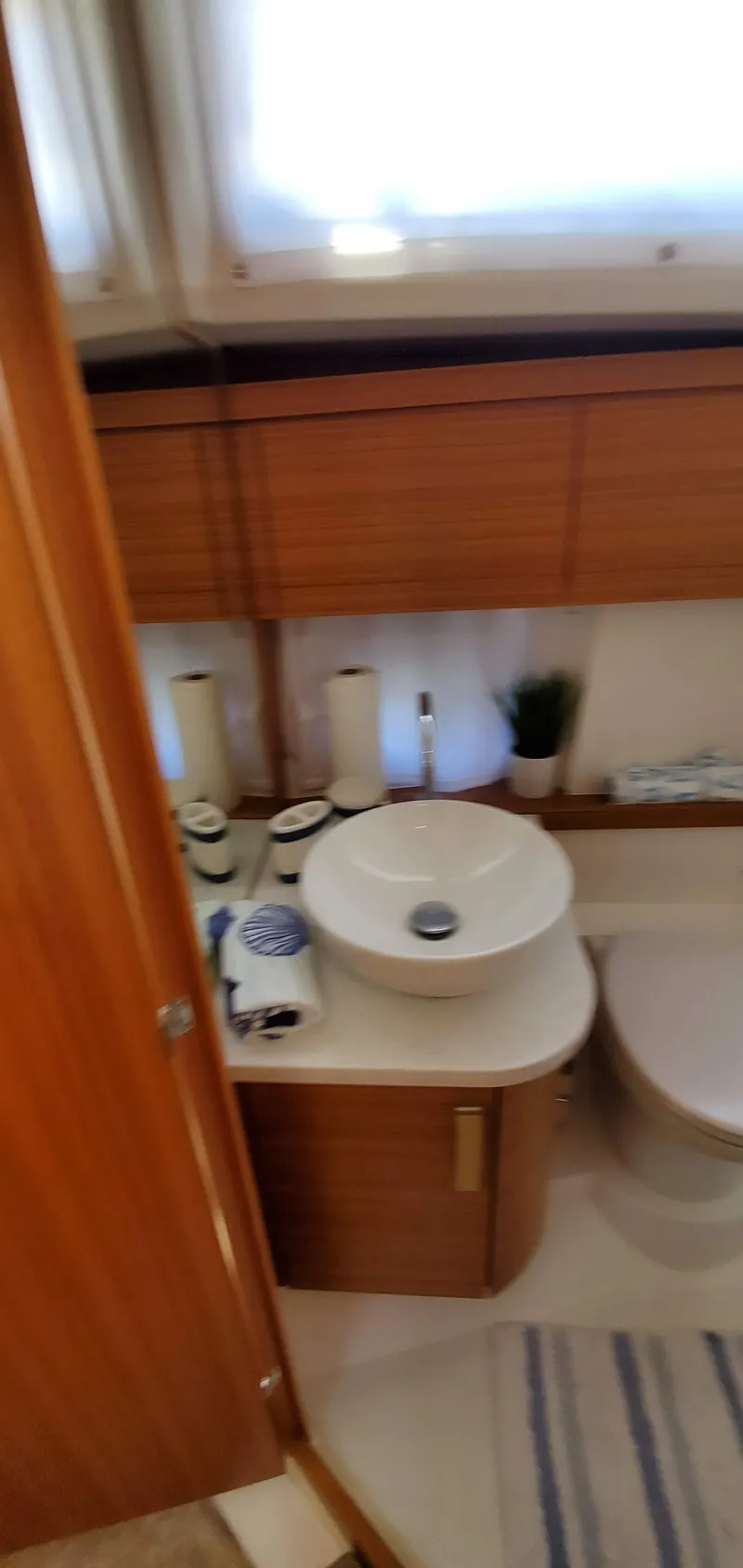 Slide: The Image of Greenline 40 2023 - 60