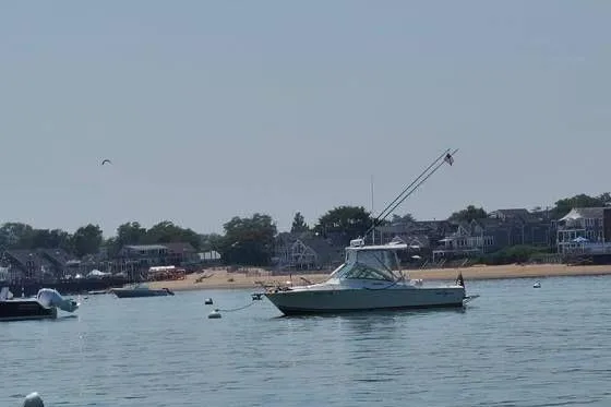 Slide: The Image of 2005 Albemarle 248 Express Fisherman boat anchored near a coastal town. - 33