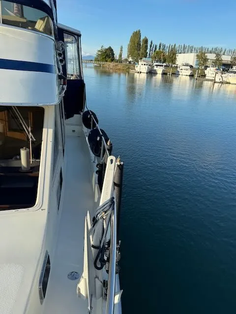 Slide: The Image of Tollycraft 44 CPMY 1988 - 46