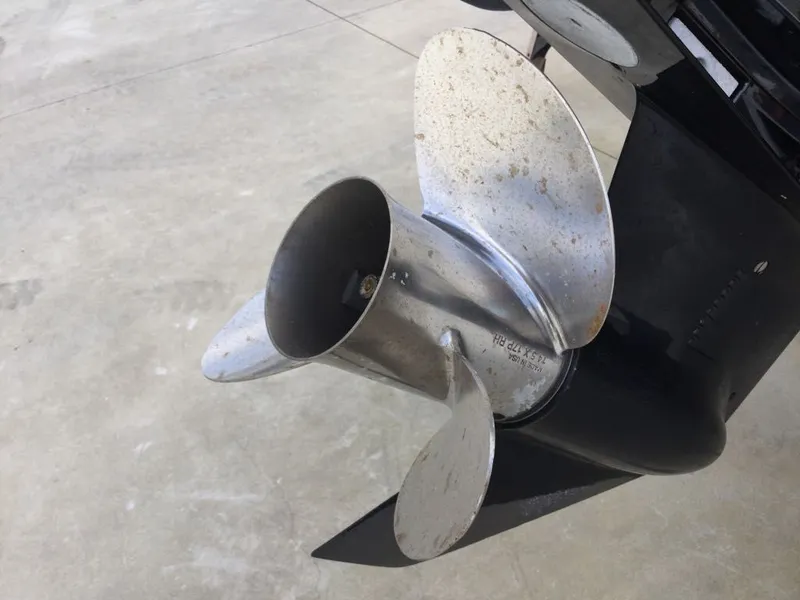 Slide: The Image of Scout 210 DORADO DL 2021 - 19