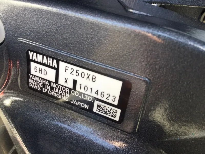 Slide: The Image of Bennington 23LFBSE SPS 2026 - 2