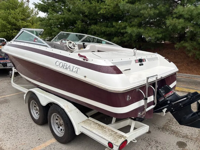 Slide: The Image of Cobalt 198 BR 1993 - 3