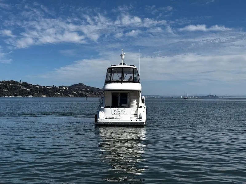 Slide: The Image of Meridian 441 Sedan 2010 - 7