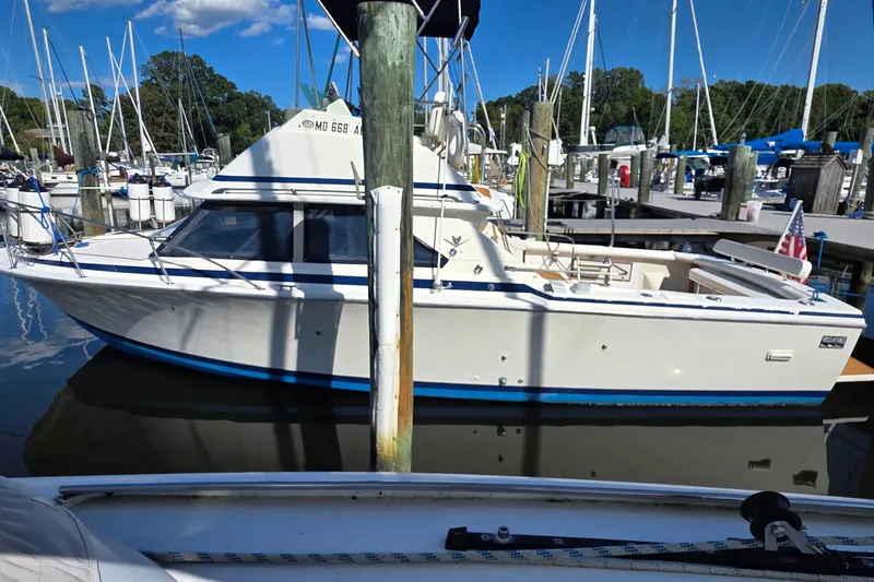 The Image of 1983 Bertram 28 Flybridge Cruiser docked at a marina, surrounded by sailboats. - 1
